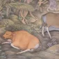 I Made Madra ~ Ceremony (Upacara) | GLOBAL AUCTION