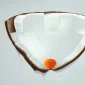 Rinaldi ~ Shaping (Membentuk) | GLOBAL AUCTION