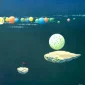 Denny Snod Susanto ~ Play The Game 3 | GLOBAL AUCTION
