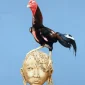 David Armi Putra ~ Sumando | GLOBAL AUCTION