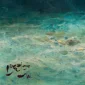 Unknown ~ Untitled | GLOBAL AUCTION