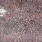 Sutarno Masteng ~ Pebbles | GLOBAL AUCTION