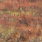 Leo Eland ~ Landscape | GLOBAL AUCTION