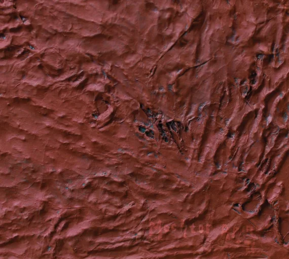 Mochtar Apin ~ Torso | GLOBAL AUCTION