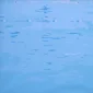 Zulkarnaini ~ Swimming Pool. 3 | GLOBAL AUCTION
