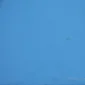 Zulkarnaini ~ Swimming Pool. 3 | GLOBAL AUCTION