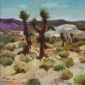 Barli Sasmitawinata ~ Red Canyon State Park California | GLOBAL AUCTION