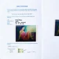 Mochtar Apin ~ Untitled | GLOBAL AUCTION