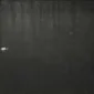 Tutu ~ The Casings | GLOBAL AUCTION