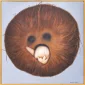 Rinaldi ~ The Face Of Old Coconut (Wajah Kelapa Tua) | GLOBAL AUCTION