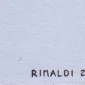 Rinaldi ~ The Face Of Old Coconut (Wajah Kelapa Tua) | GLOBAL AUCTION