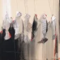 Sunaryo ~ Fish | GLOBAL AUCTION