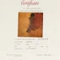 Jeihan Sukmantoro ~ Ata | GLOBAL AUCTION