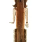 Gregorius Sidharta Soegijo ~ Eastern Goddess Of Happiness (Dewi Kebahagiaan Dari Timur) | GLOBAL AUCTION
