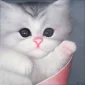 Rosid ~ Baby Cat | GLOBAL AUCTION