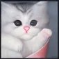 Rosid ~ Baby Cat | GLOBAL AUCTION