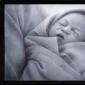 Rosid ~ Baby | GLOBAL AUCTION