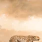 I Wayan Cahya ~ Hunting | GLOBAL AUCTION