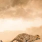 I Wayan Cahya ~ Hunting | GLOBAL AUCTION