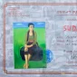 Sudarso ~ Waiting (Menanti) | GLOBAL AUCTION