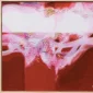 Heyi Ma'mun ~ The Red Composition With Gold Pots | GLOBAL AUCTION