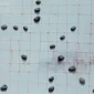 Tommy Wondra ~ Between The Empty Spaces (Di Antara Ruang-ruang Kosong) | GLOBAL AUCTION