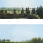 Natee Utarit ~ Landscape | GLOBAL AUCTION