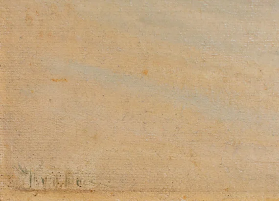 Willem Van Der Does ~ View Of The Sea | GLOBAL AUCTION